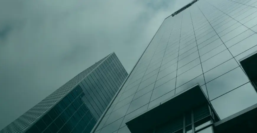 استخدام التحول الرقمي كخارطة طريق .